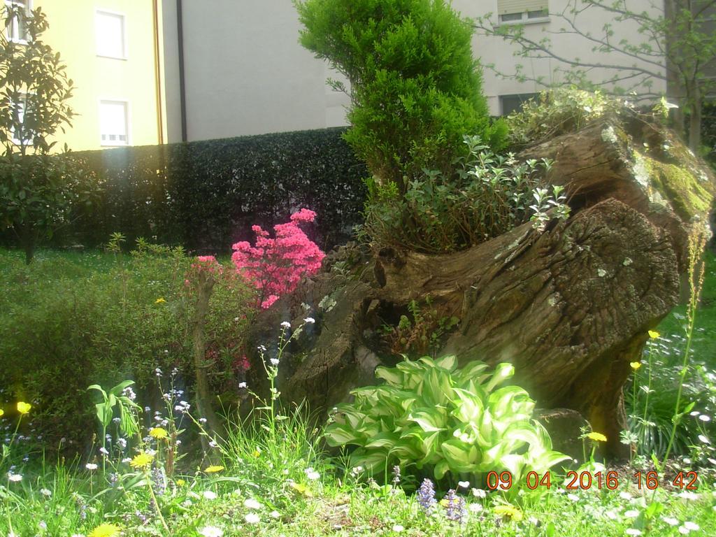 B&B I Pioppi Chiavenna Exteriér fotografie